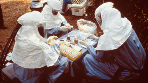 Congo Ebola Outbreak Nears 8,800 Cases; Kenya Reports Imported Case