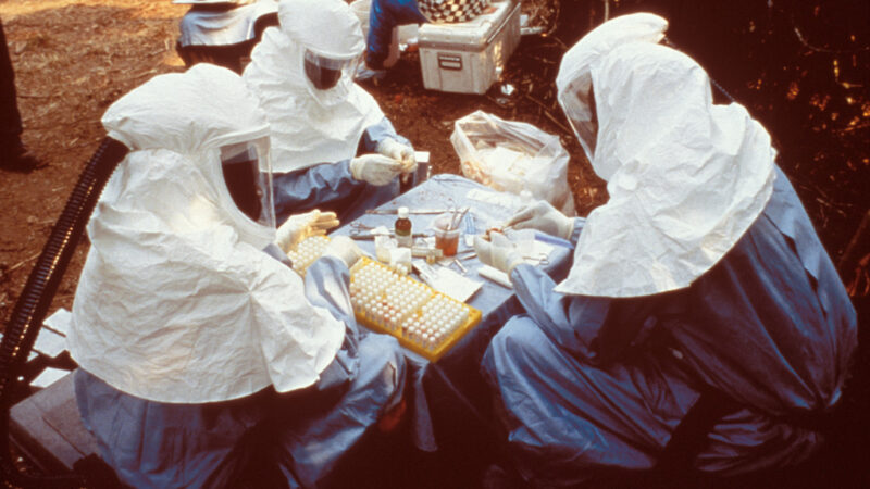 Congo Ebola Outbreak Nears 8,800 Cases; Kenya Reports Imported Case