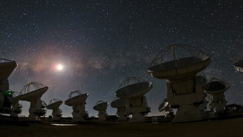 A Jupiter Around a Tiny Star Shows Rare Ammonia and Unexpected Chill